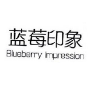 蓝莓印象 BLUEBERRY IMPRESSION