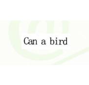  	  CAN A BIRD  