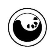 “熊猫图形”  