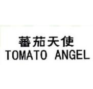 蕃茄天使 TOMATO ANGEL  