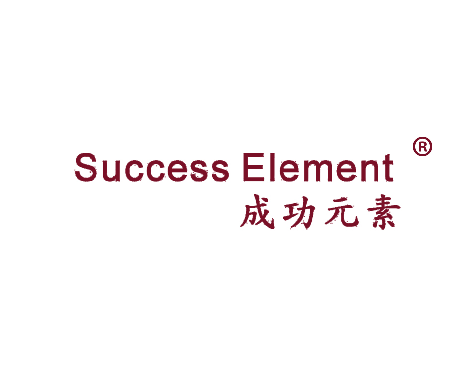 success element 成功元素  