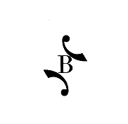 B  